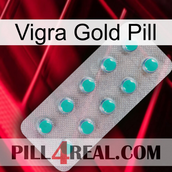 Vigra Gold Pill 28.jpg